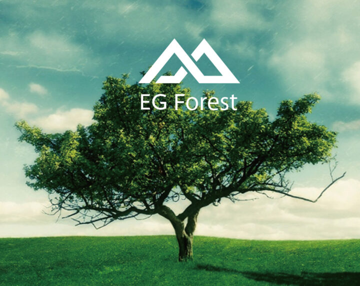 株式会社EG Forest [ イージーフォレスト ] ホームぺージ公開のお知らせの画像